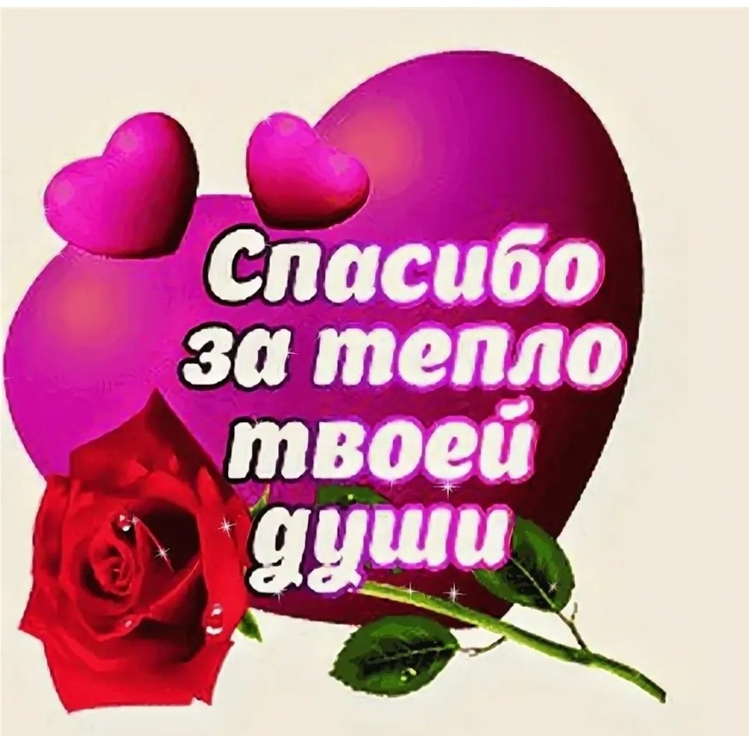 Спасибо розы