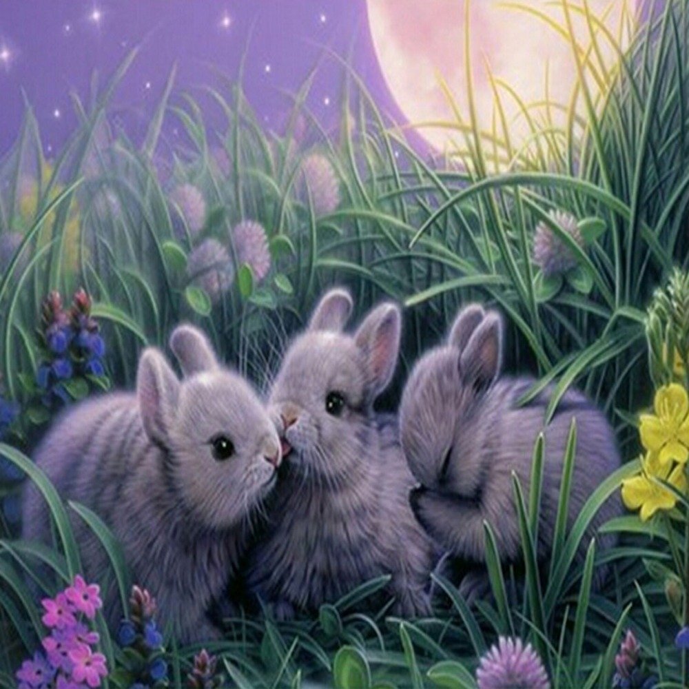 Зайчик спит на Луне