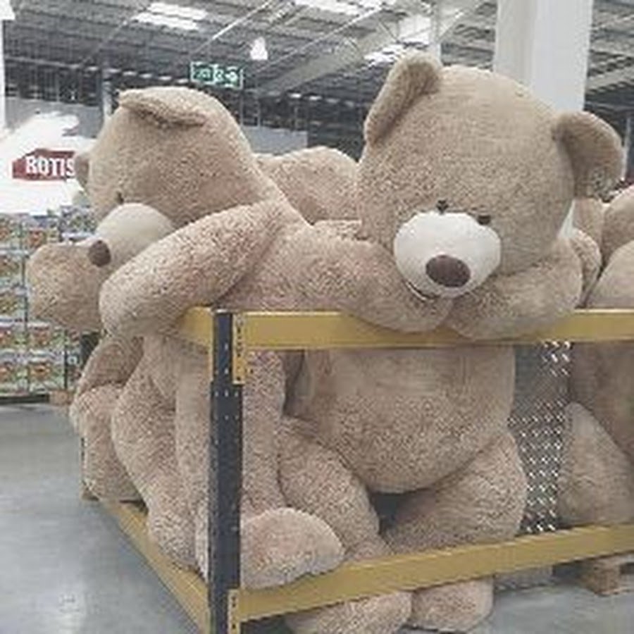 Медвежонок мультяшный