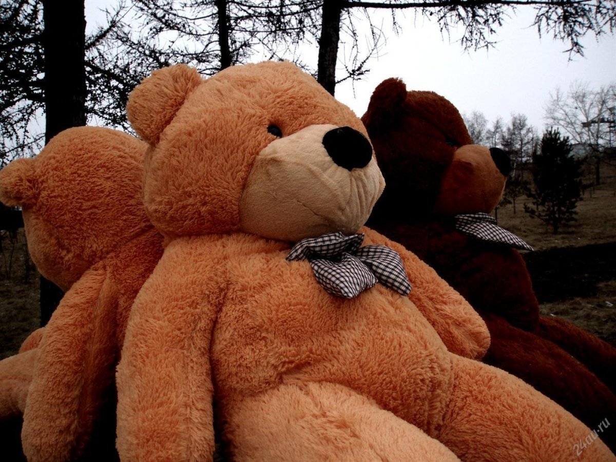 Милые логотипы