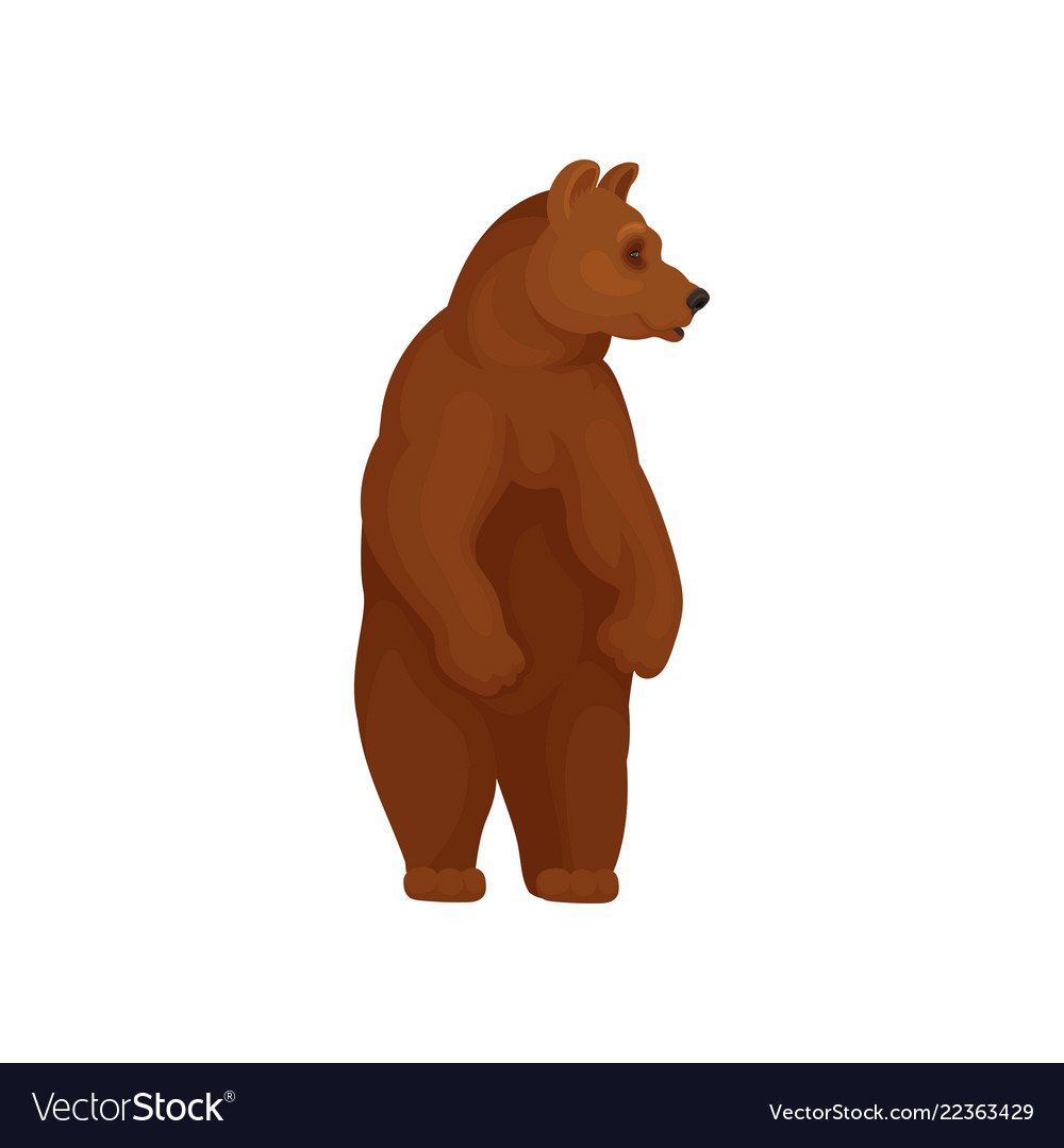 Мишка на шкафчик в детском саду