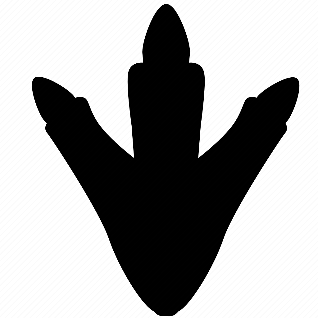 Следы динозавров черно белые