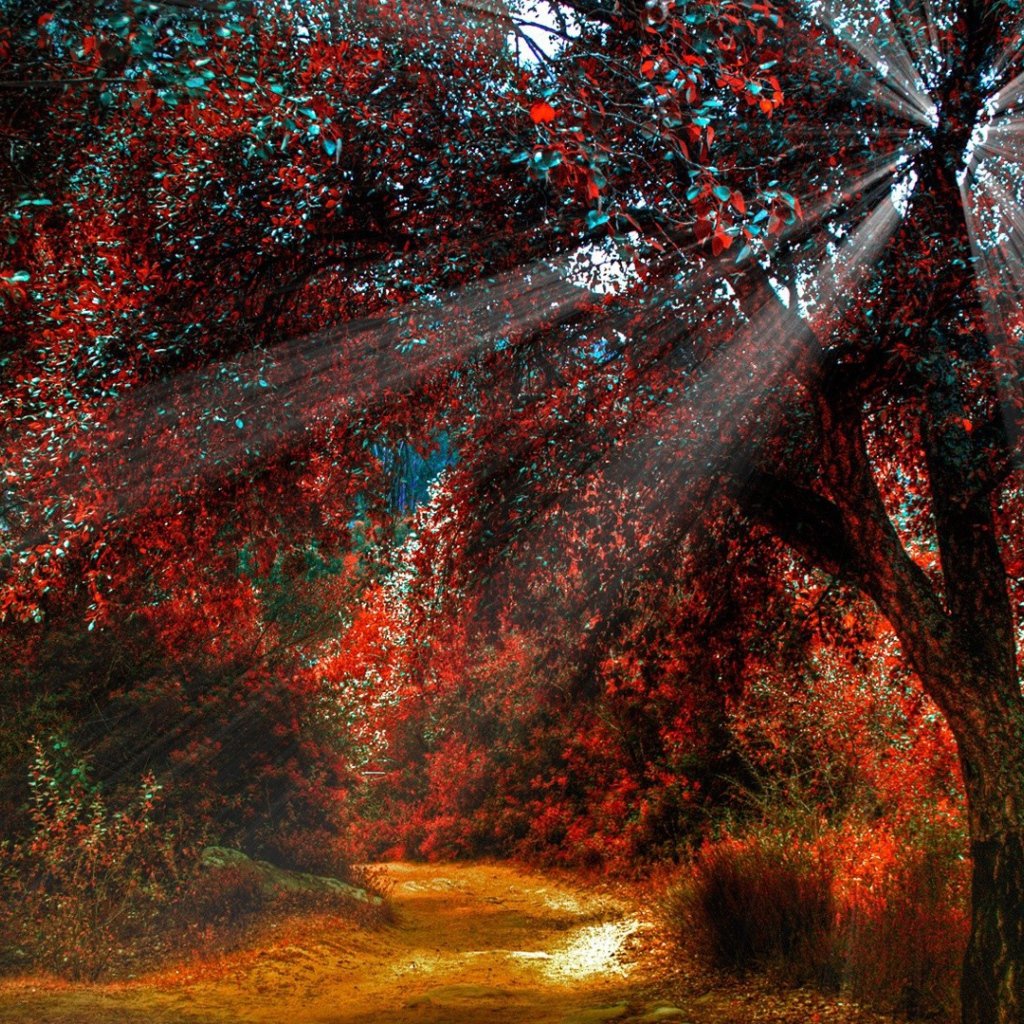 Осенние обои