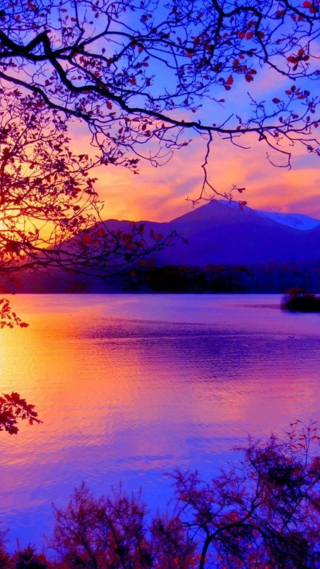 Красная природа