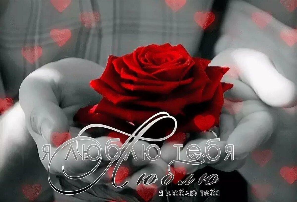Я тебя люблю