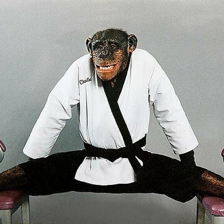 Тупой каратист