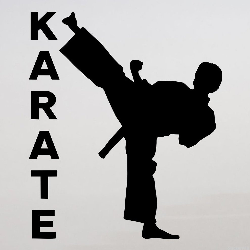 Каратист киокушинкай силуэт