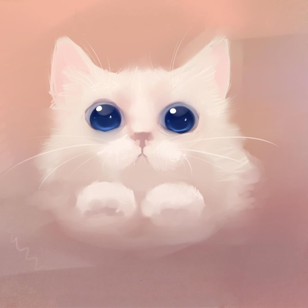 Няшный котик