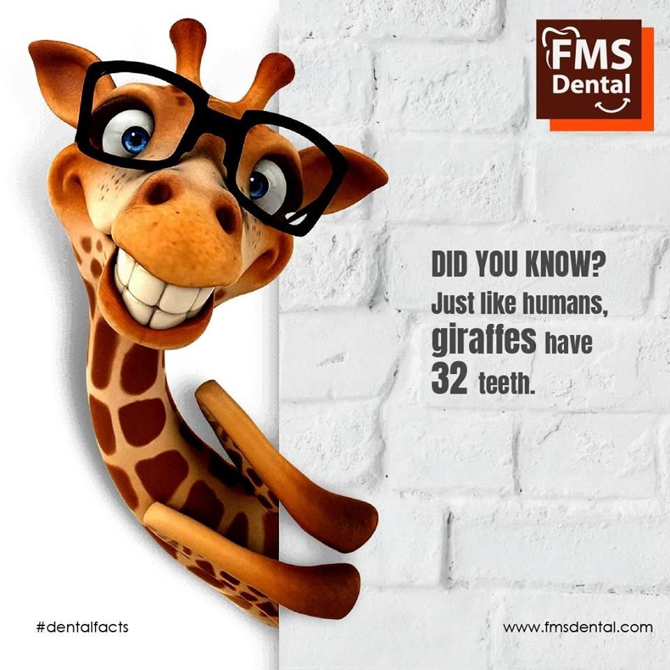 Оригинальные открытки с добрым утром