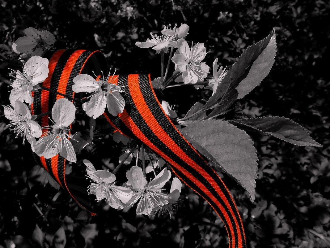 Георгиевская лента