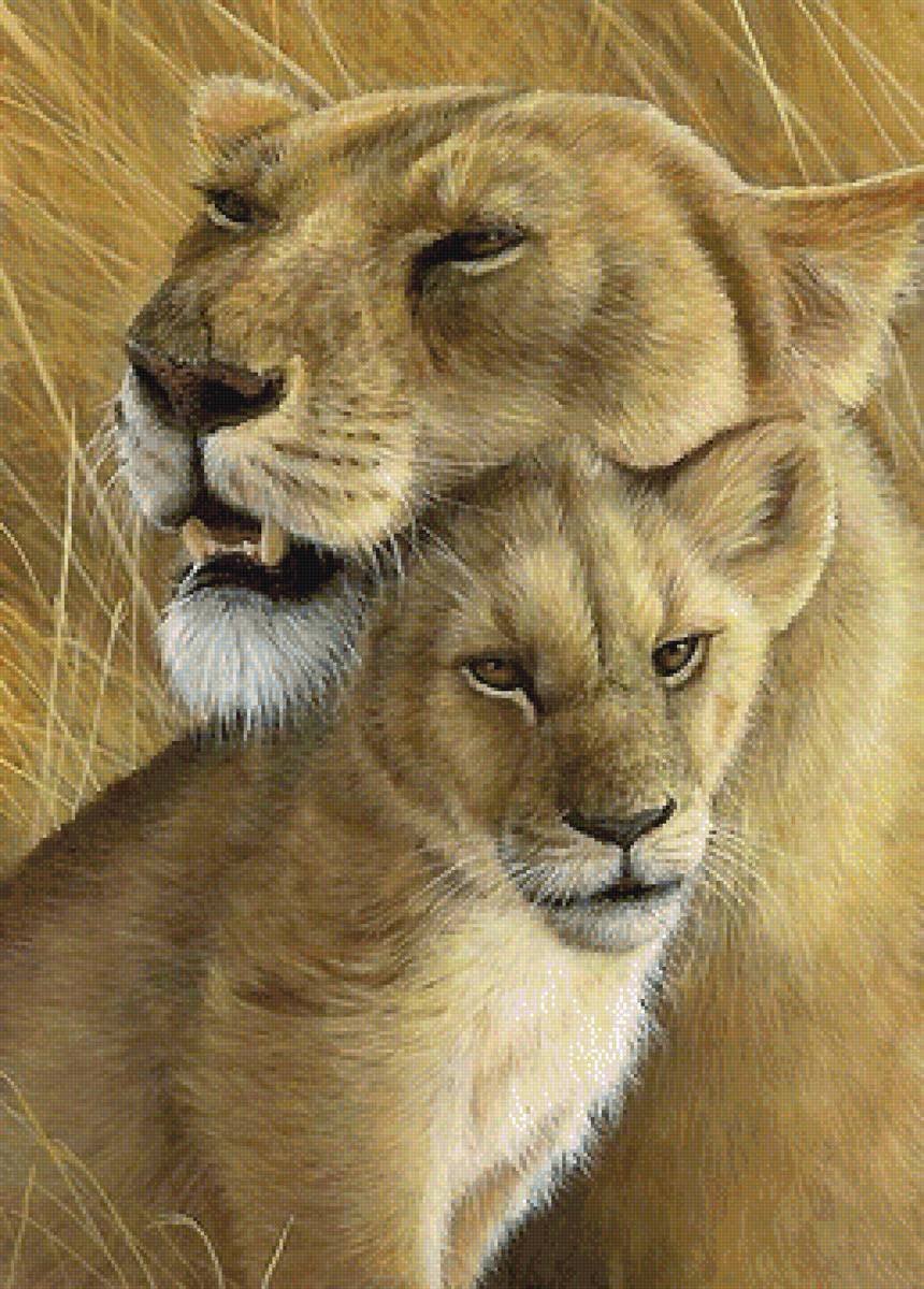 Львица и Львенок