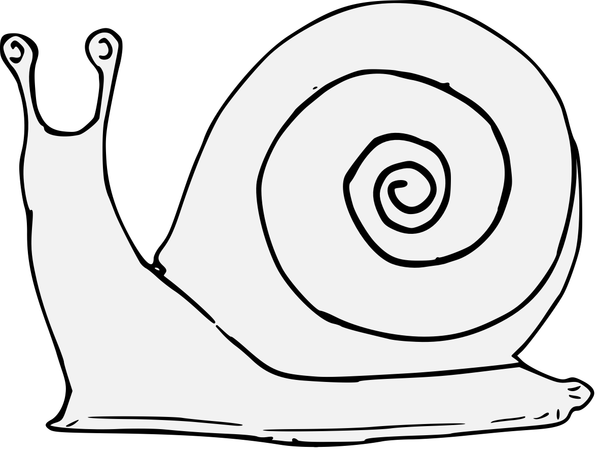 Улитка клипарт чб