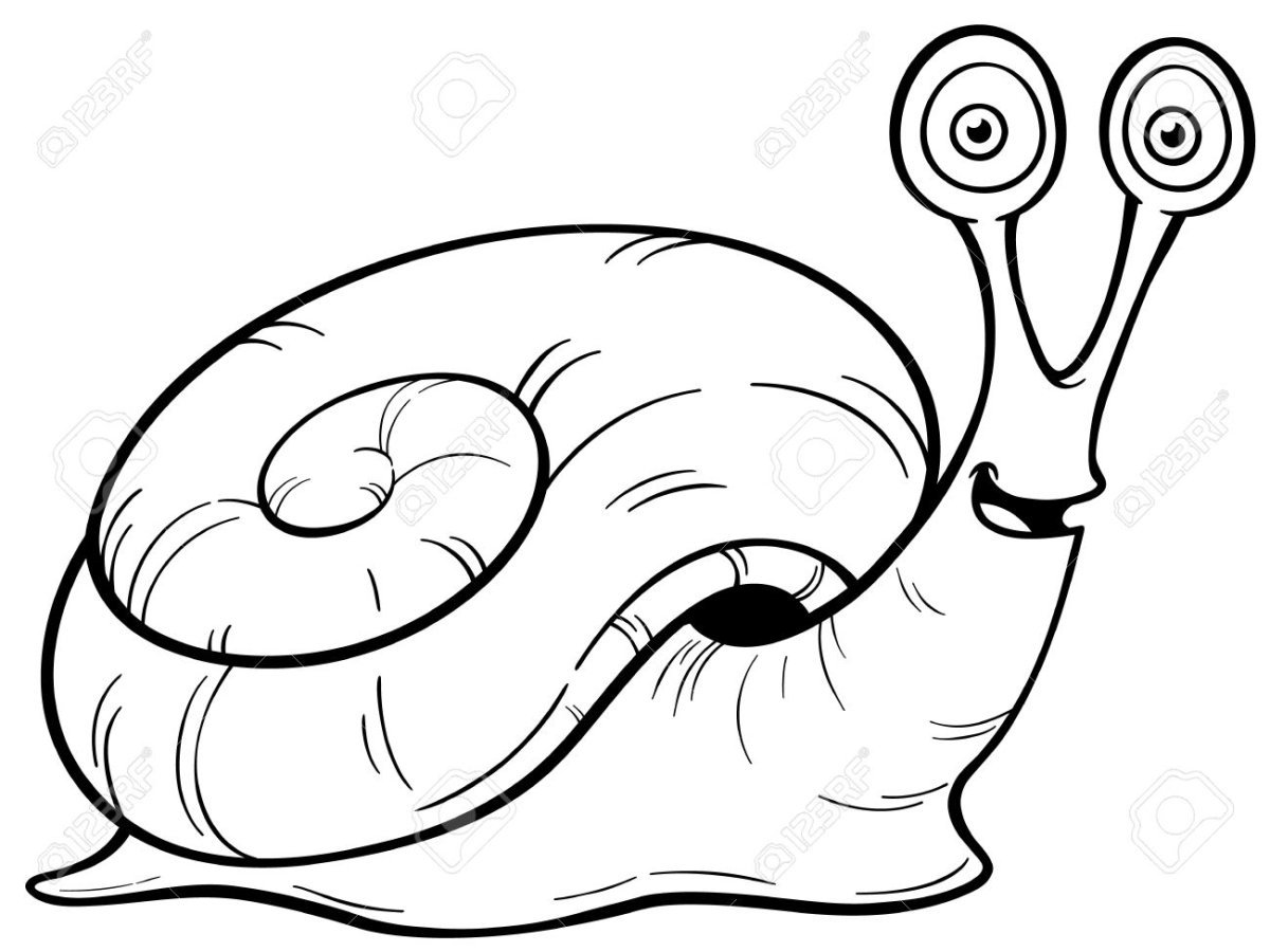 Улитка ахатина раскраска