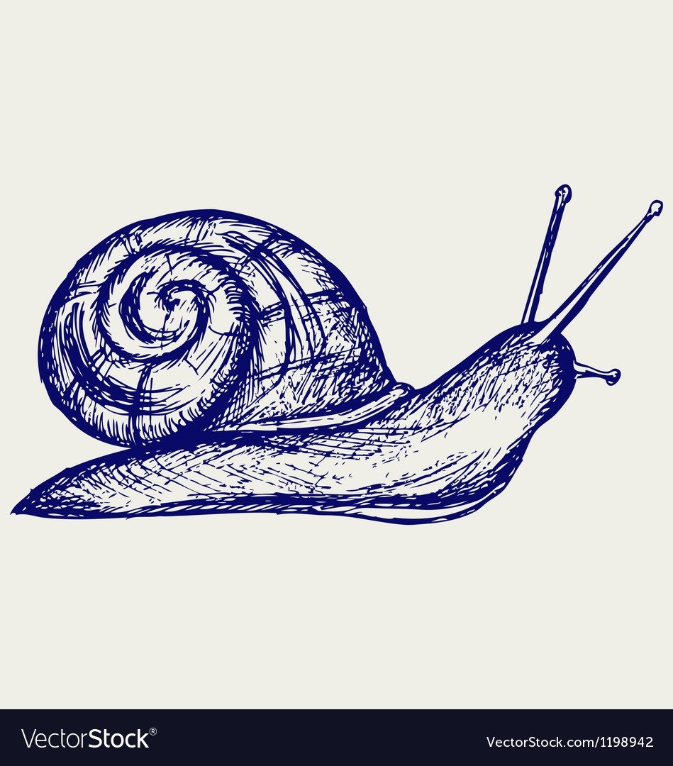 Трафарет улитки для вырезания