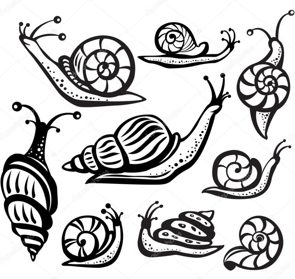 Улитка раскраска для малышей