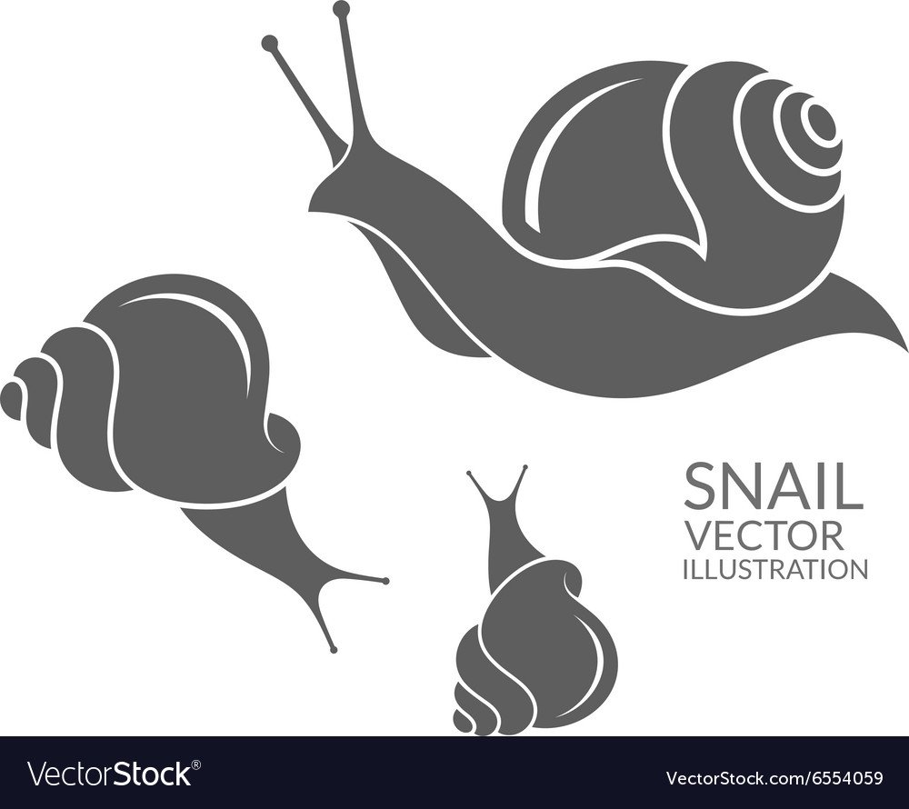 Улитка силуэт