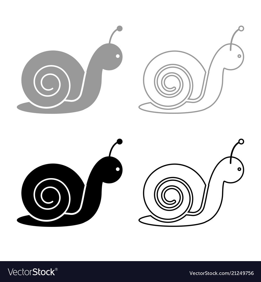 Моллюски рисунок