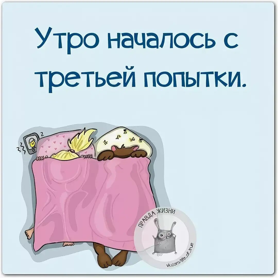 Пожелания на вторник прикольные