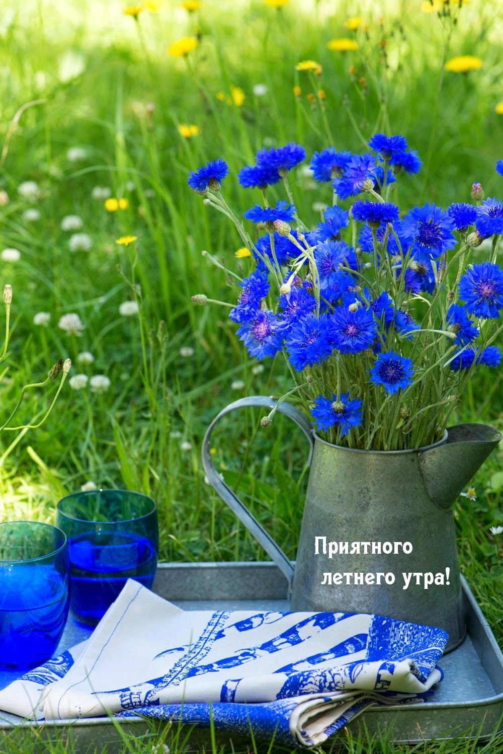 Доброе летнее утро