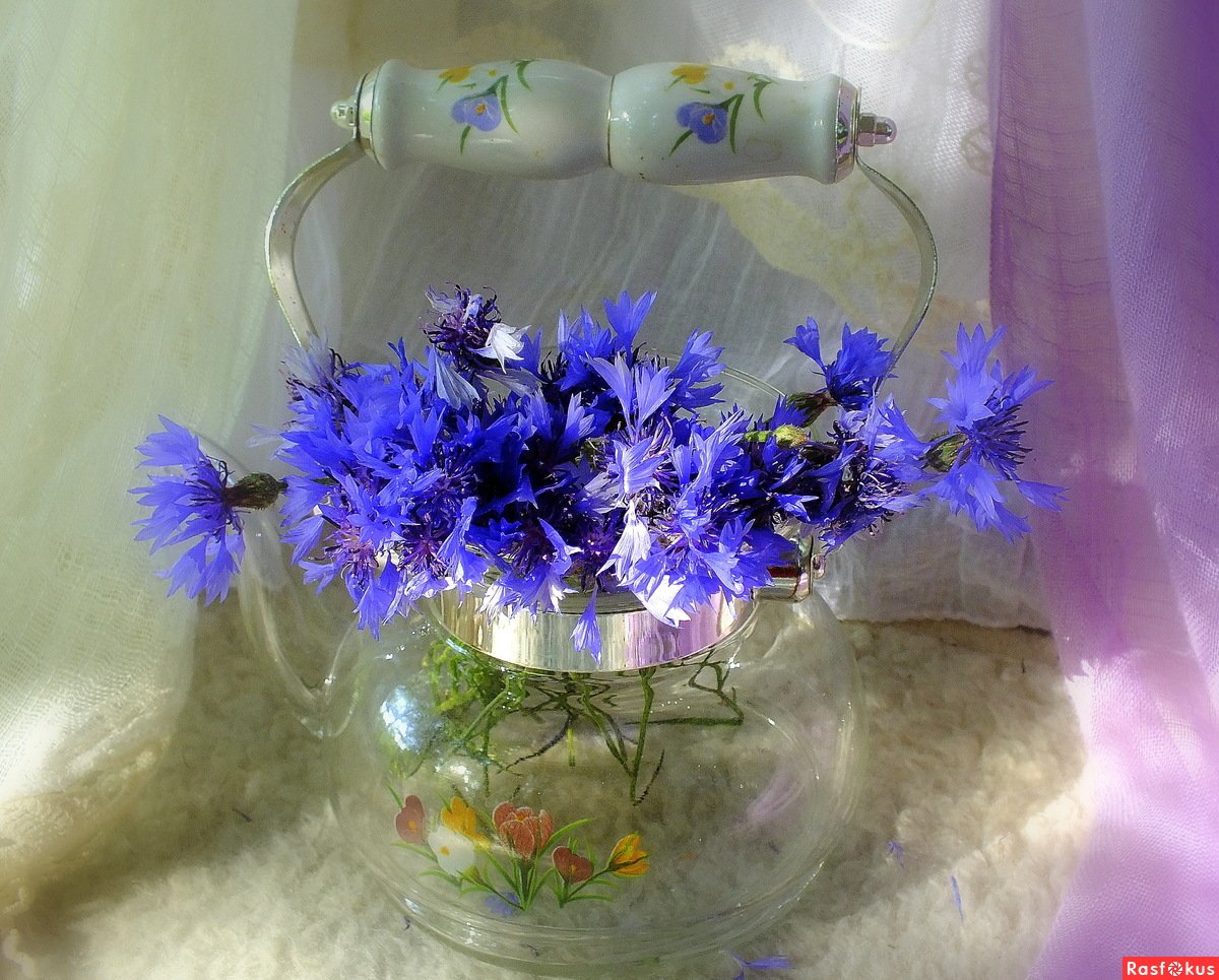 Васильки в вазочках