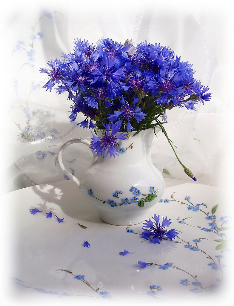 С днем рождения васильки