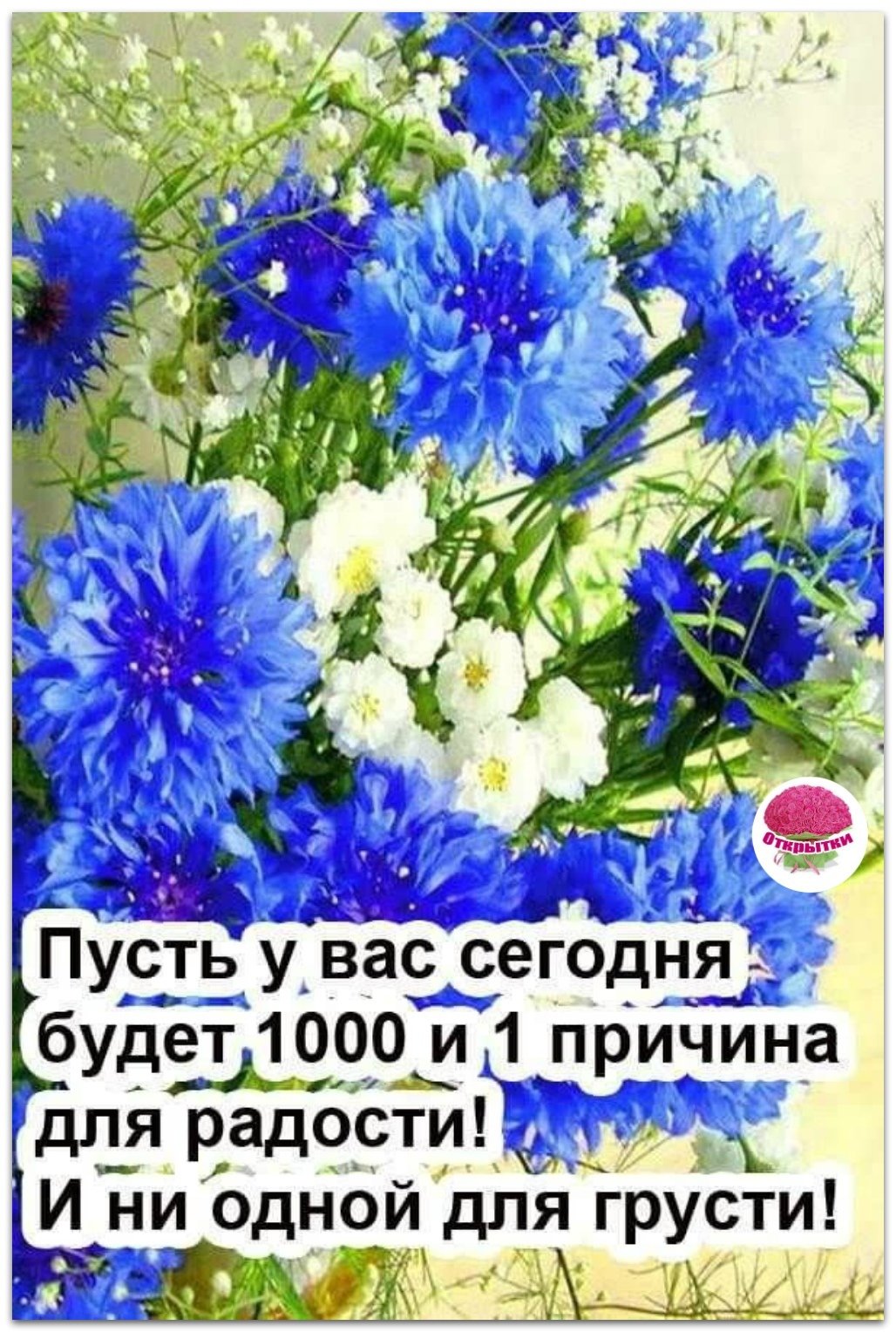 Добрые пожелания с васильками