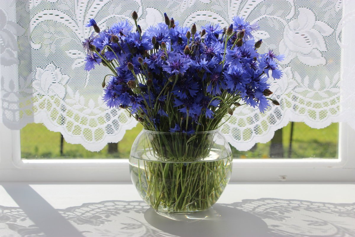 Букет Васильков в вазе