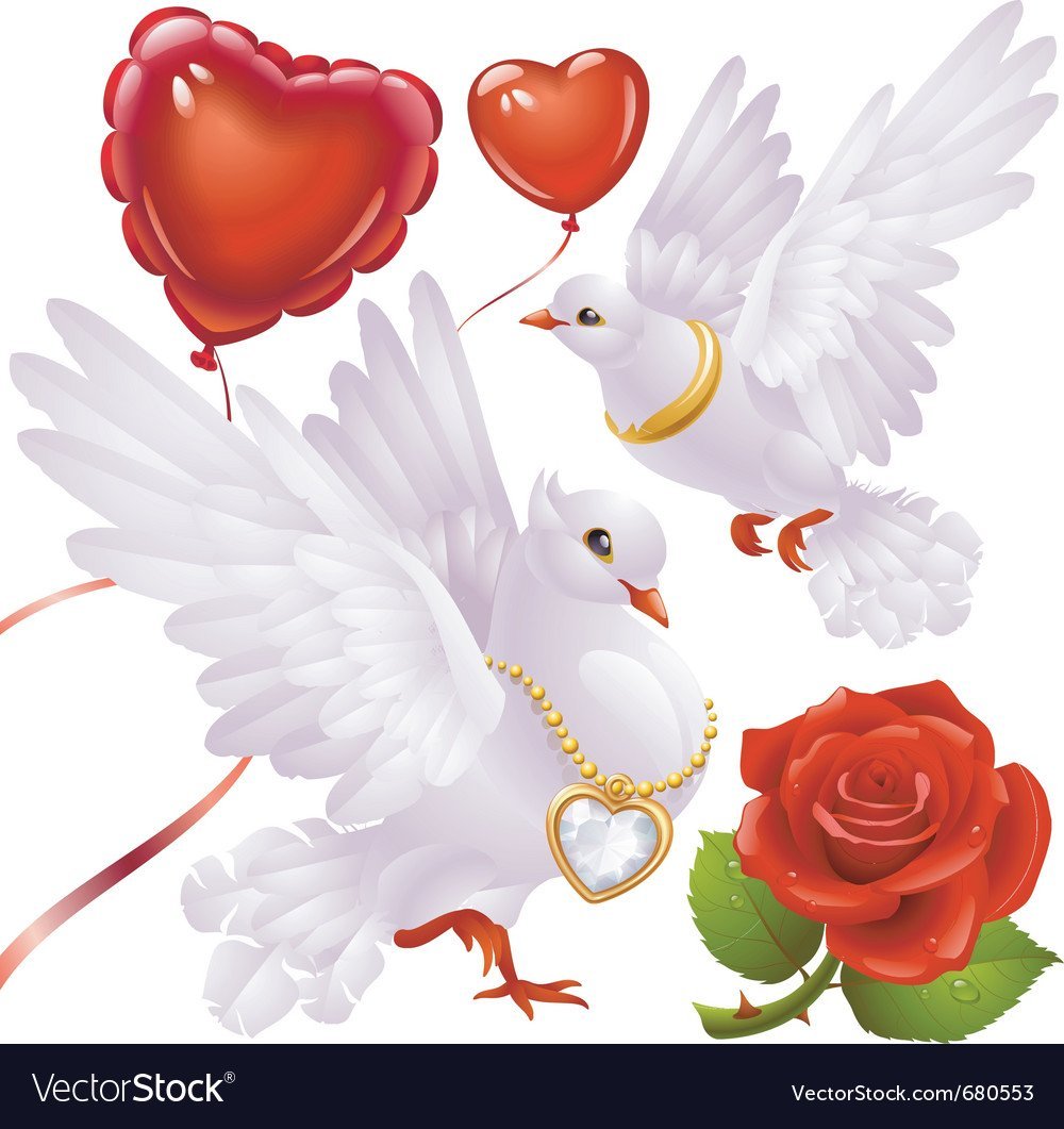 Свадебные голуби с сердечком