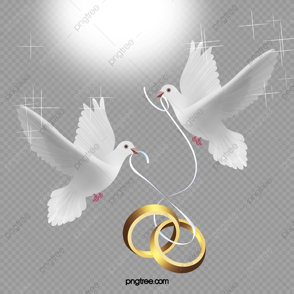 Свадебные голуби вектор