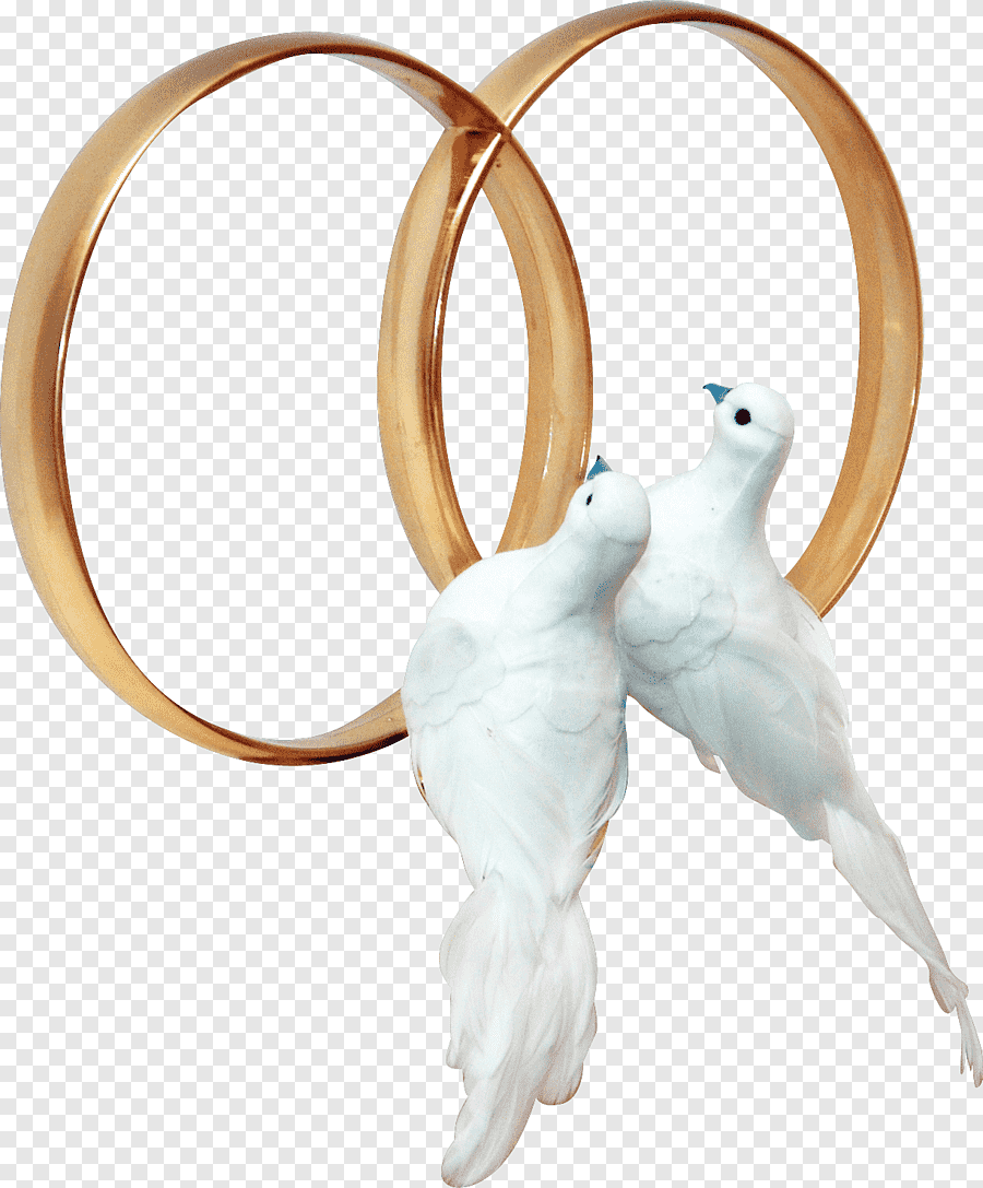 Свадебные голуби картинки