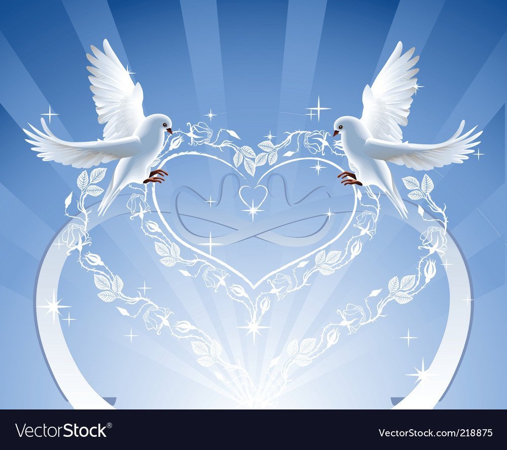 Свадебные голуби