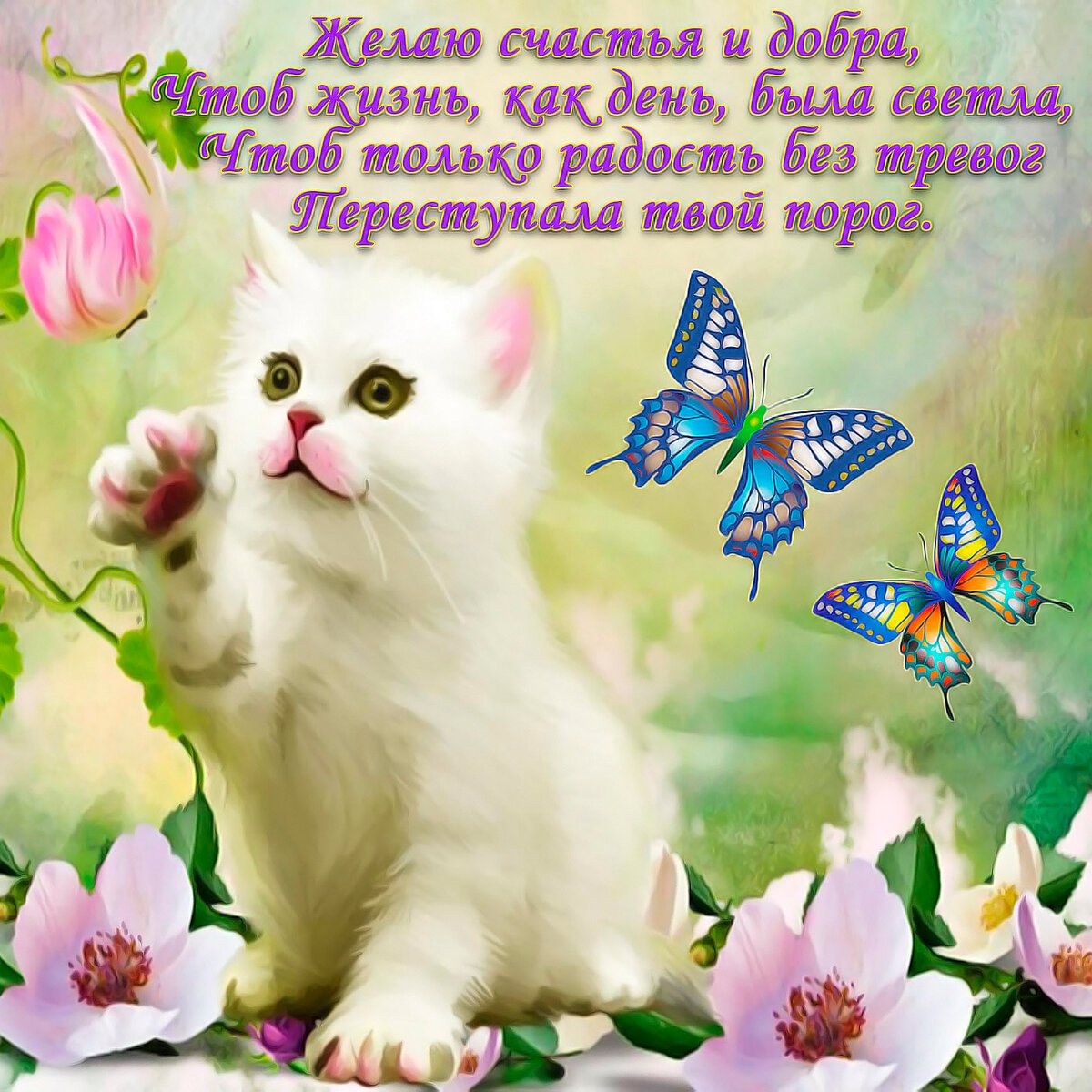 Пожелания на день