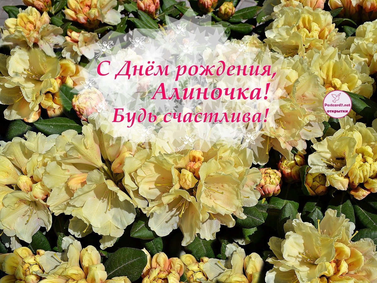 С днём рождения Алина