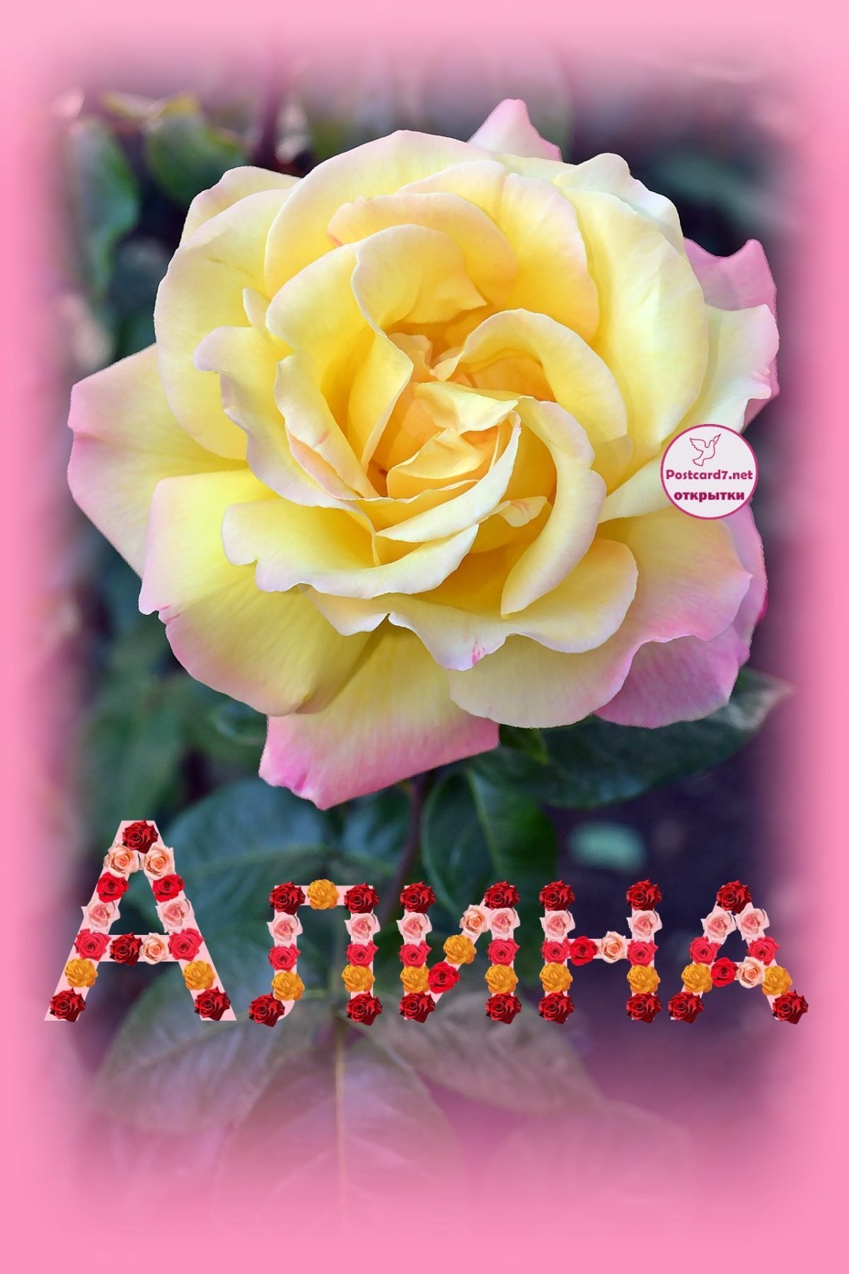 Поздравления с днём рождения Кристине