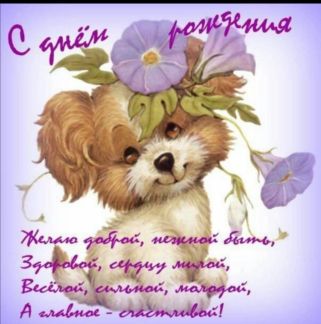 С днём рождения Виолетта открытки