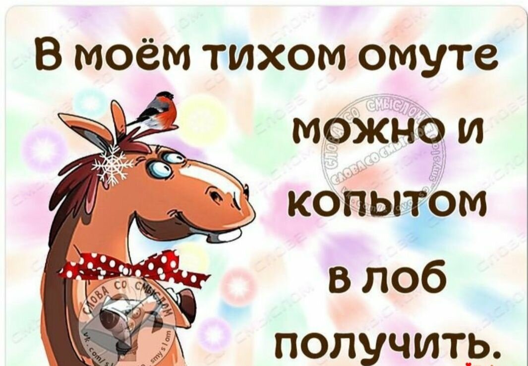 Статусы юмор