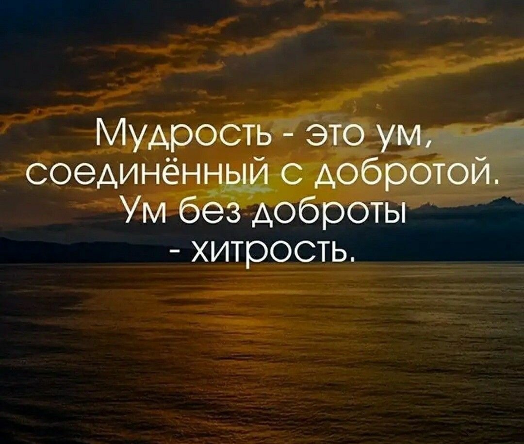 Красивые цитаты