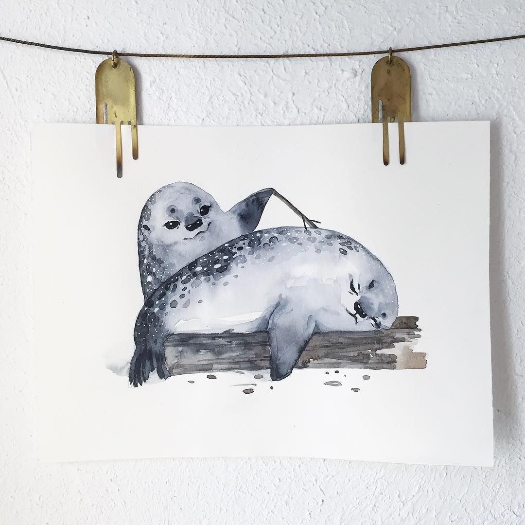 Тюлень акварелью