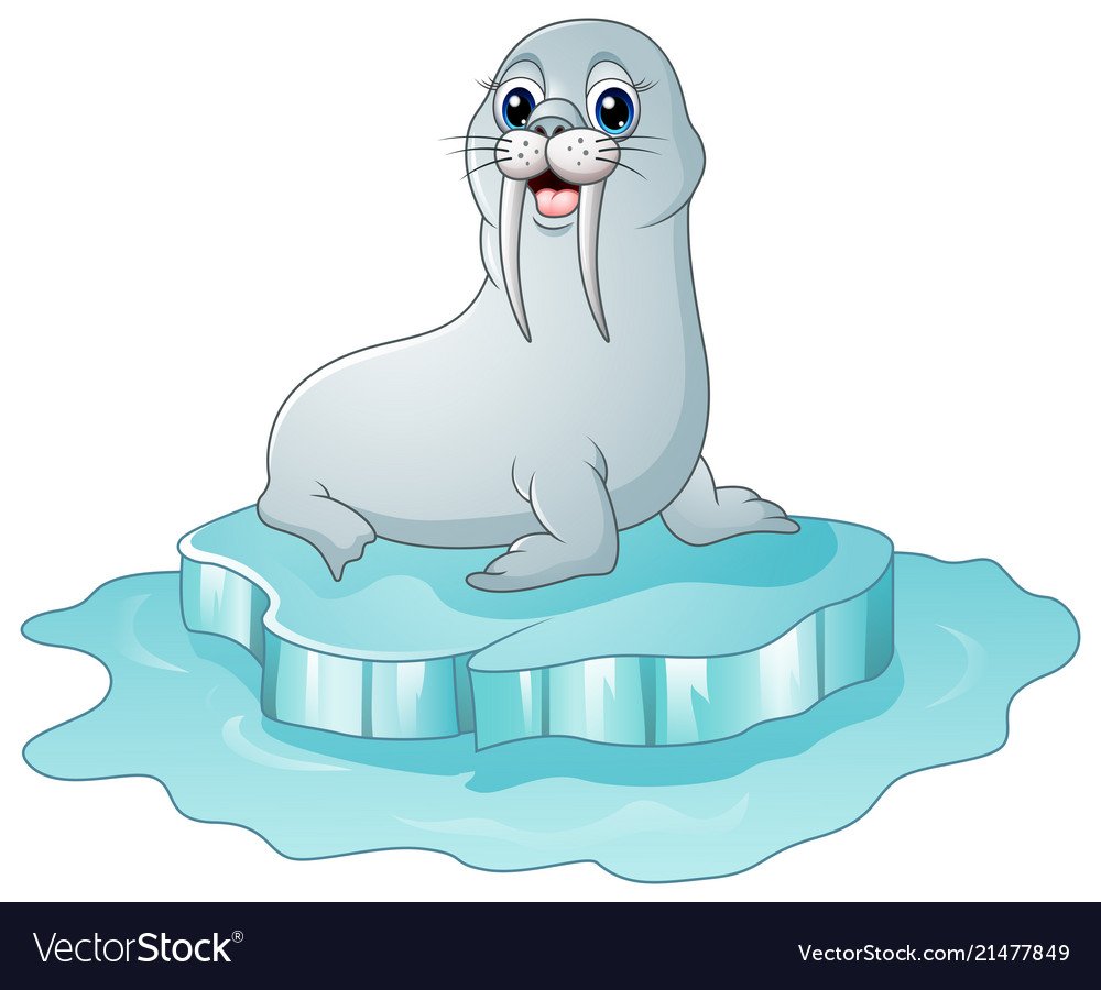 Мультяшные морской котик на льдине
