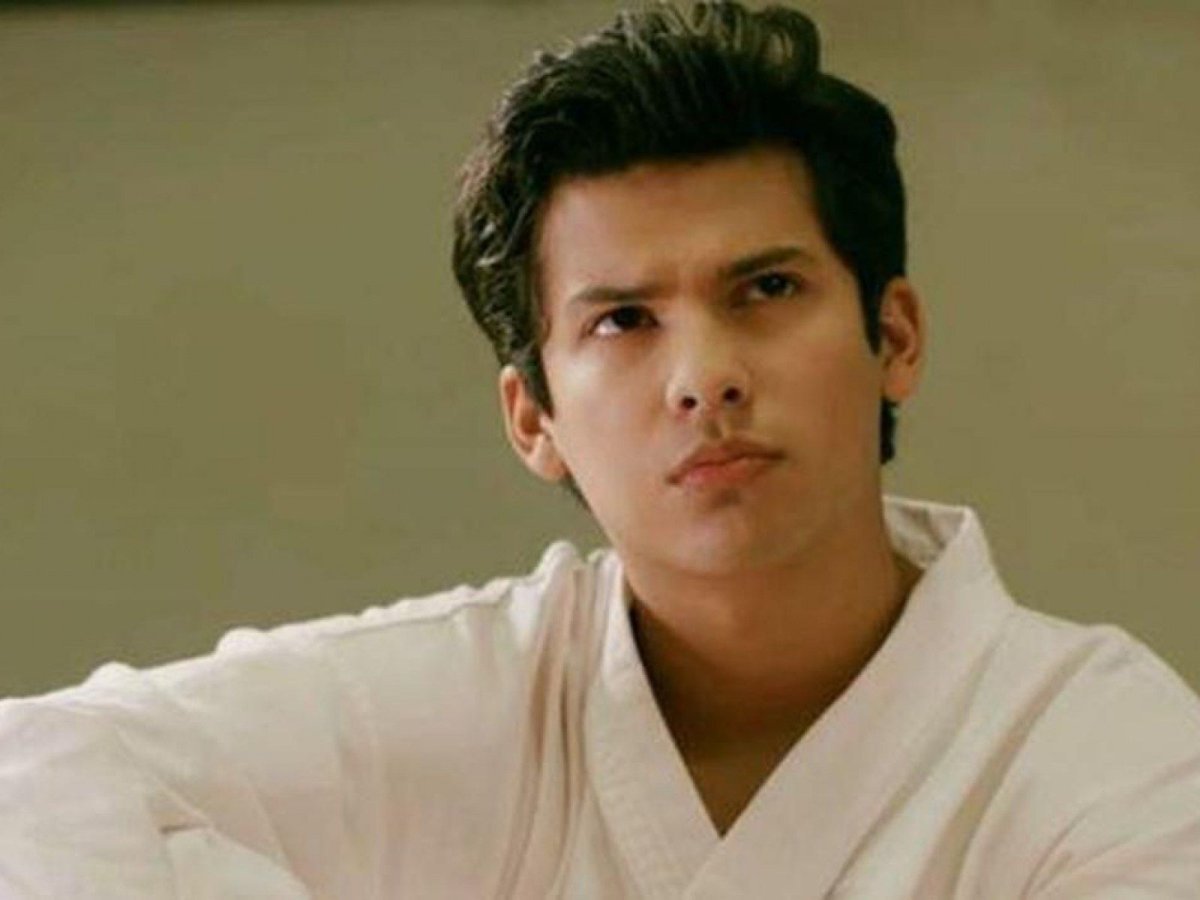 Кобра Кай аниме