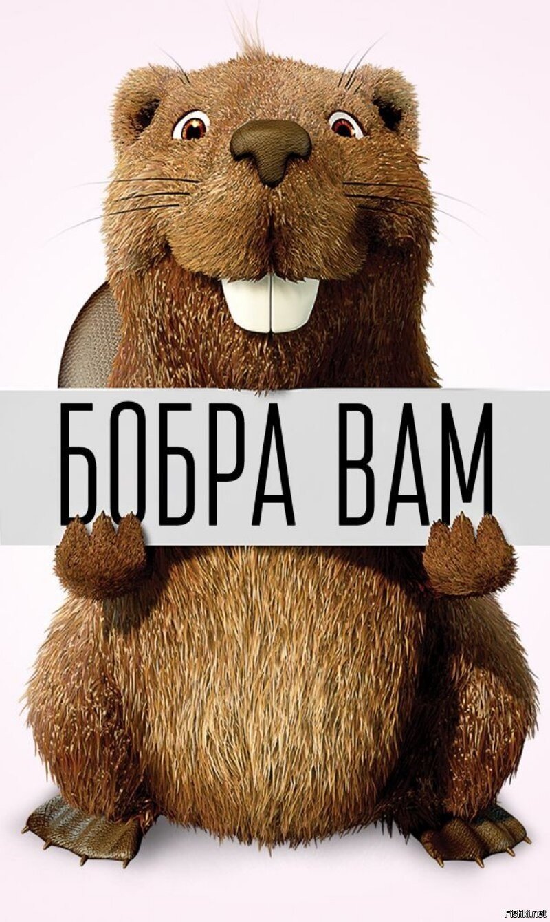 Бобер с цветами