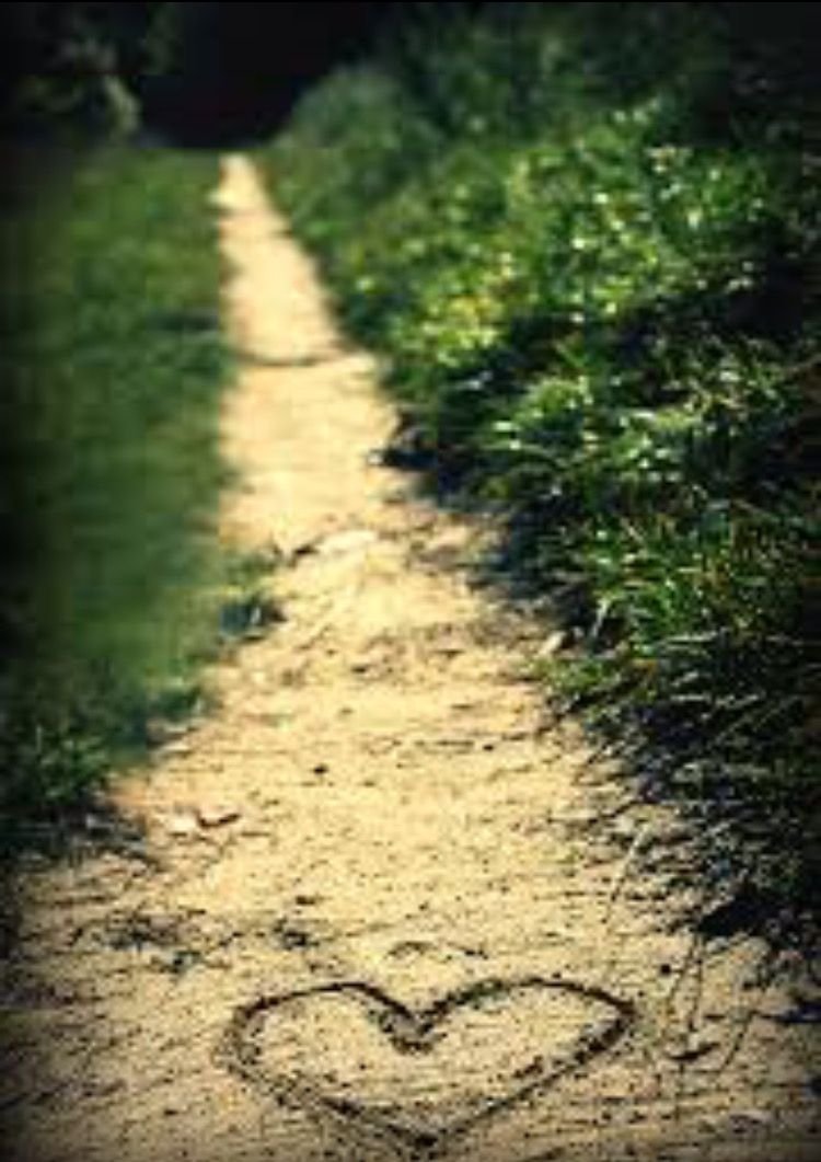 Дорога в светлое будущее