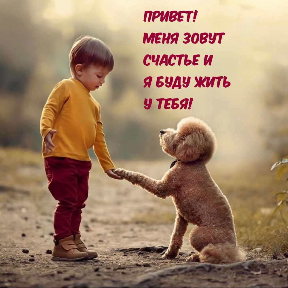 Счастье это я