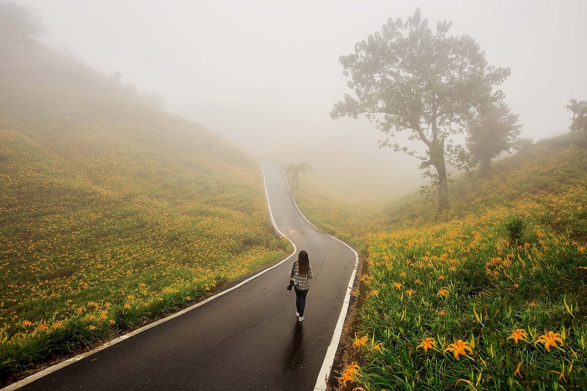 Длинная дорога