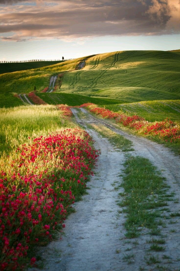 Светлая дорога к счастью