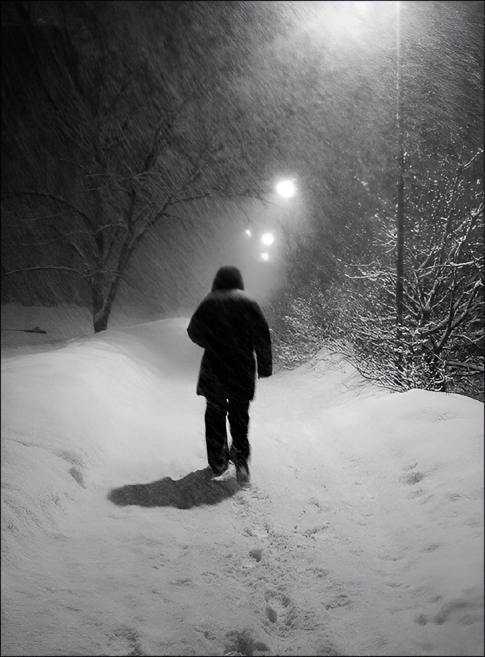 Одиночество зимой