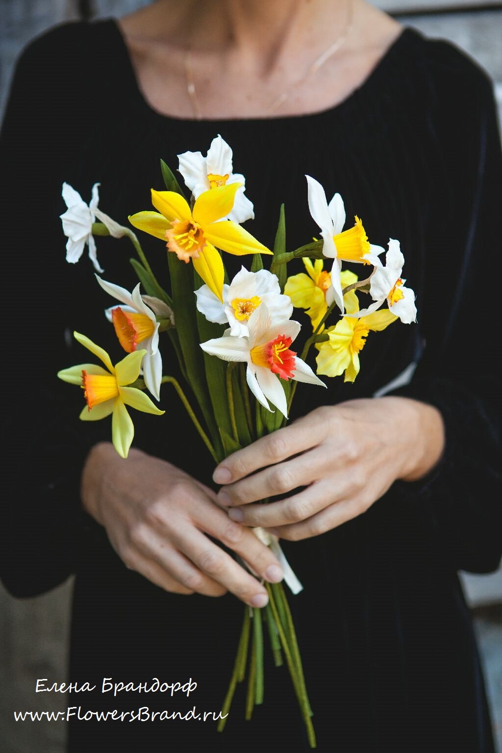 Фрезия нарциссы