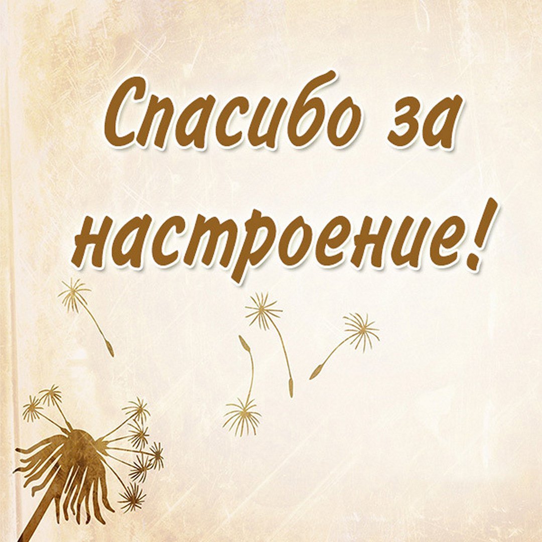 Я В Инстаграм