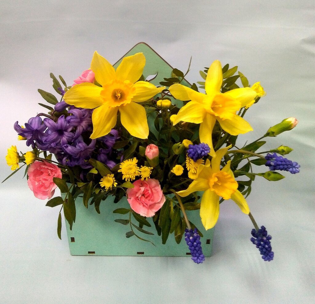 Нарциссы Эстетика белые