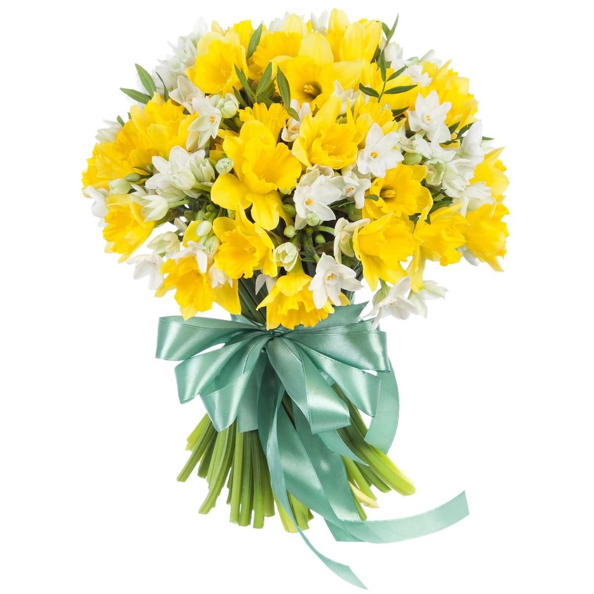 Нарциссы букет